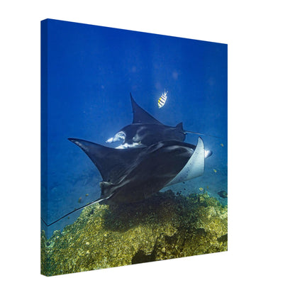 49da01e7-182a-41e0-a7f5-157d3bf76c02