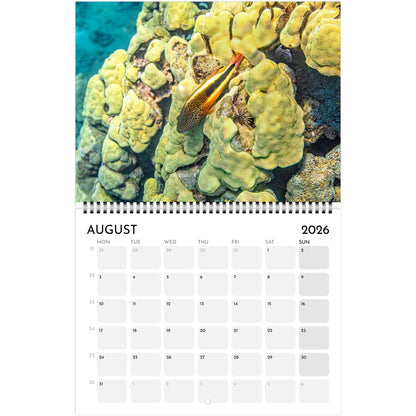 4c33ffe7-1a89-4a5d-9eb8-237337911c43