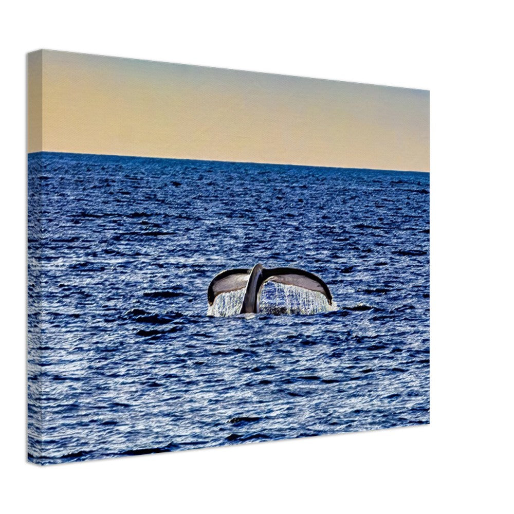 4f2a3aca-d534-4f3e-8094-8d88830781c4