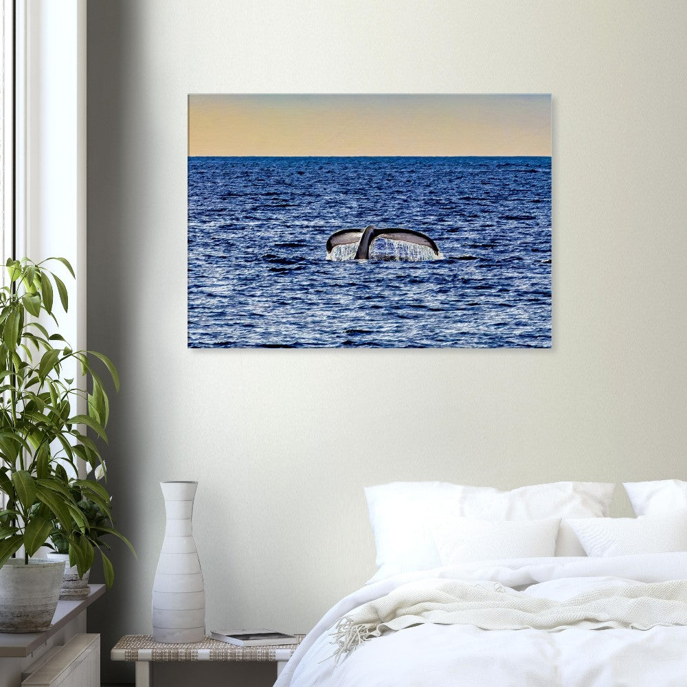 4fb212f8-c420-49de-8469-9dbdd5300d26