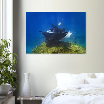 50c3ca8e-0d85-472d-829a-4c2a87fcd33e