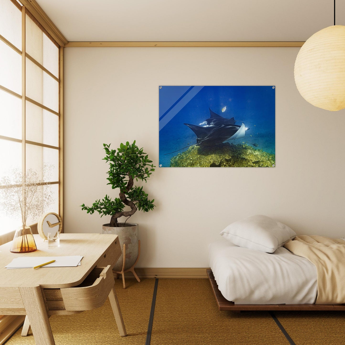 5143fb0d-52ac-42de-809f-00896a41e435