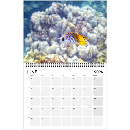 51556cc7-2e82-4518-b948-efaf4a4c5c0c