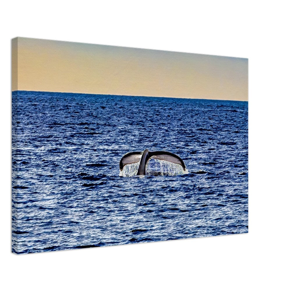 5323c689-de4d-4ff6-84c1-f6673e5df211