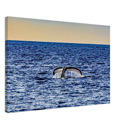 5323c689-de4d-4ff6-84c1-f6673e5df211