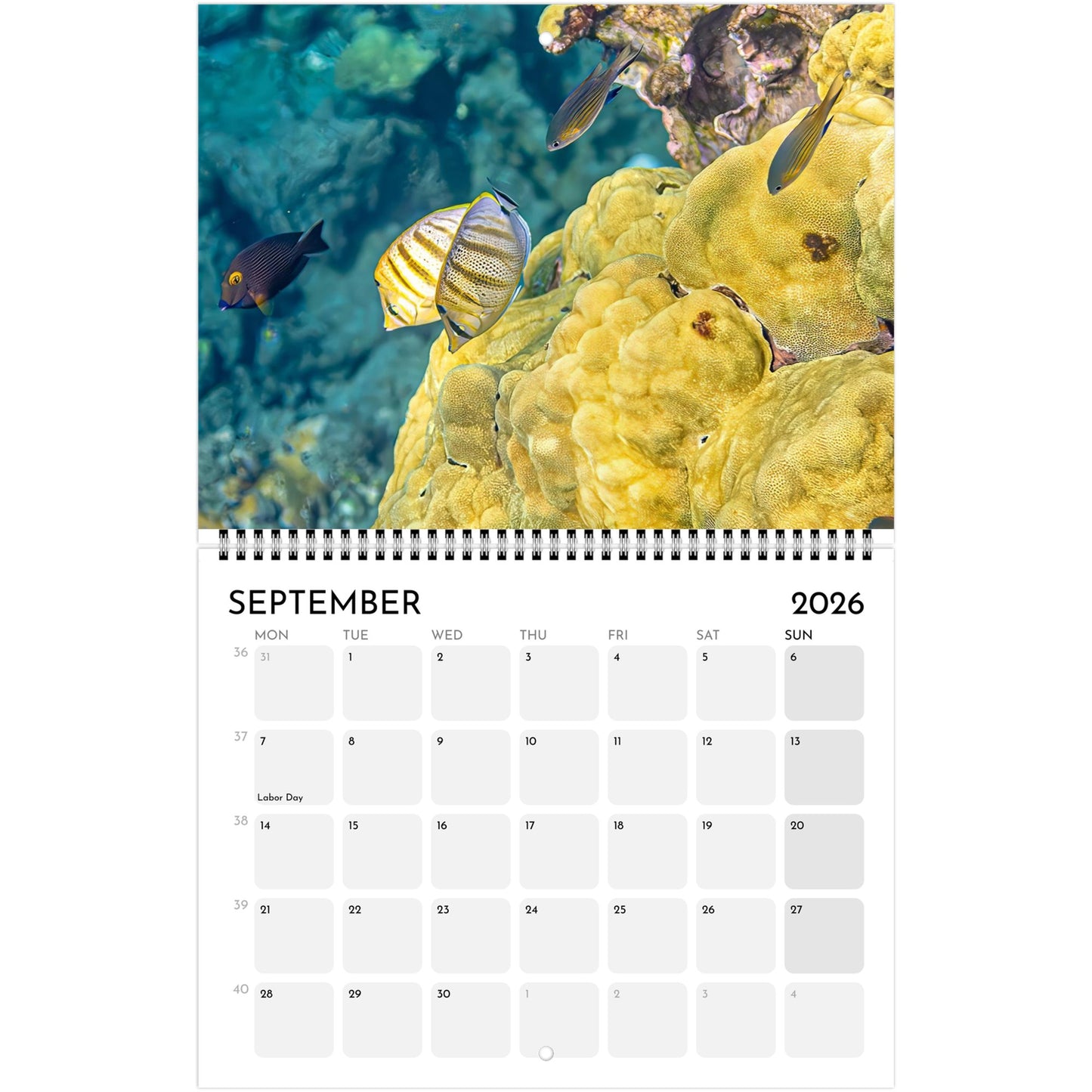 5326d5e6-d0cc-40ca-82c8-23a913ec558e