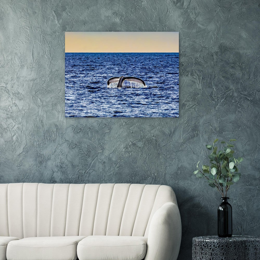 53af6830-b7cb-42c2-b448-a6d71e27cb4c