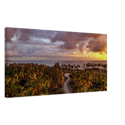 53b74568-7310-4758-8c89-0e6a46776d48