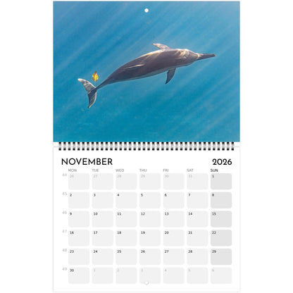 5552cda2-e1a4-46ef-ba74-73fef64c1a42