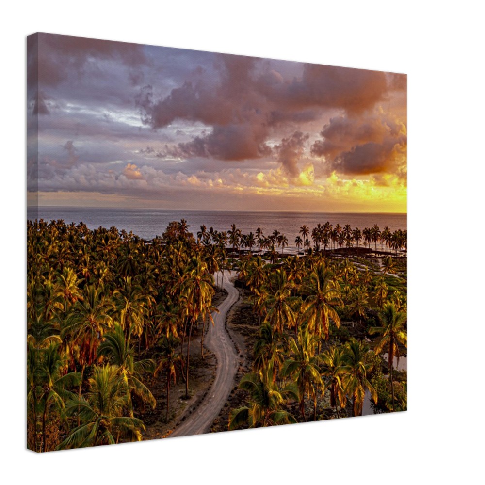 5598cb60-0e8a-4071-9548-51759db6c176