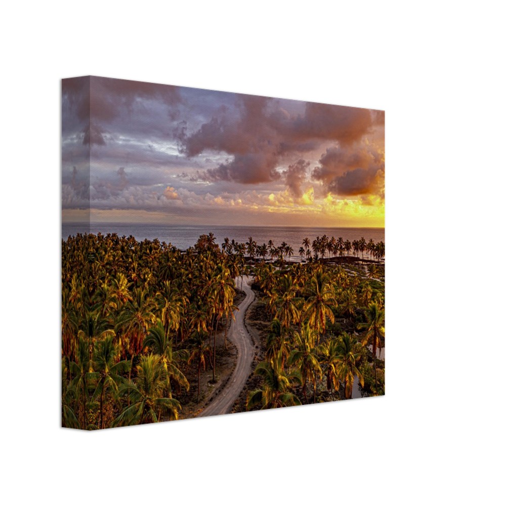 5893ac20-0371-48bd-a731-0231fd318e19