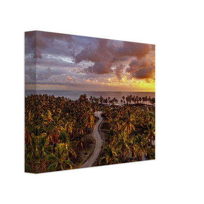 5893ac20-0371-48bd-a731-0231fd318e19