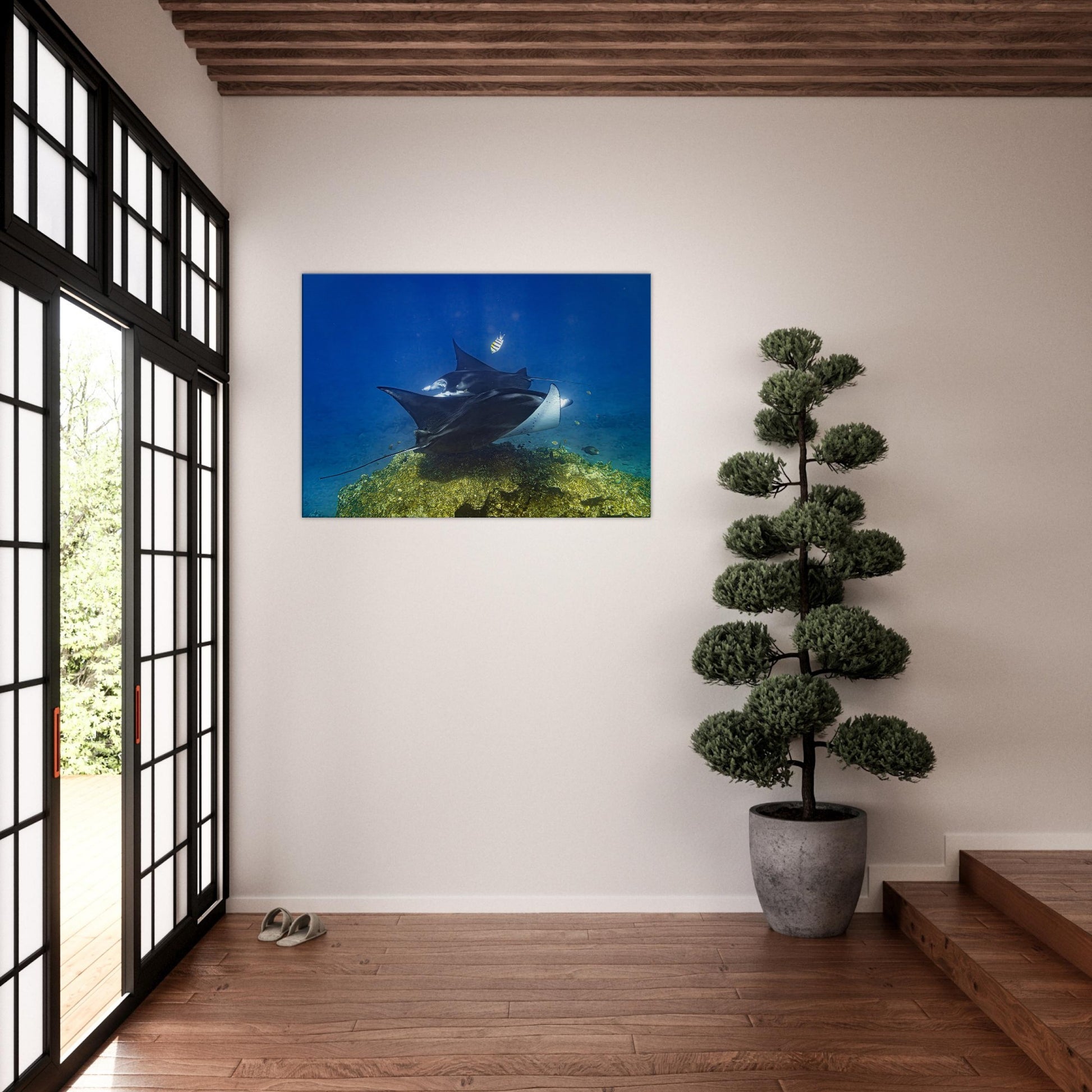 58b5624b-e9b2-431d-acbf-a34a4a8bcd3a