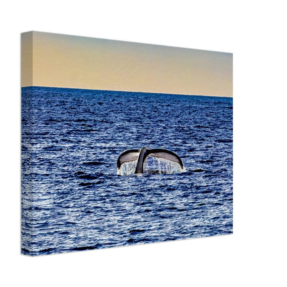 58c146dd-953e-4d61-b80b-8a48b63c440d