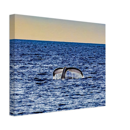 58c146dd-953e-4d61-b80b-8a48b63c440d