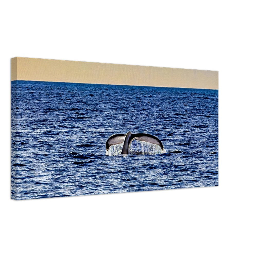 5a3daf01-b53e-47dc-b1e5-081255aa1937