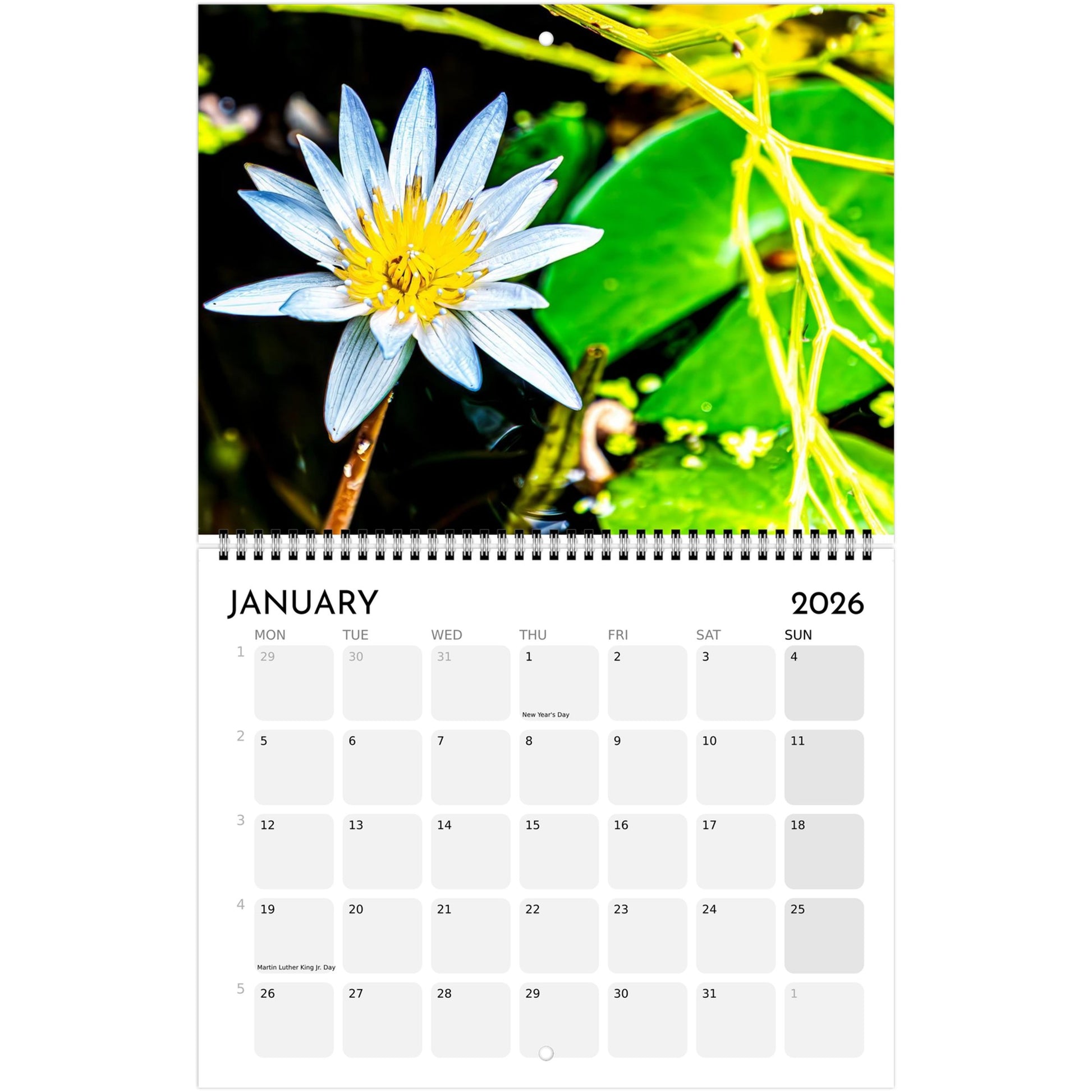 5b7d5895-59dd-4212-8522-93793858beb6