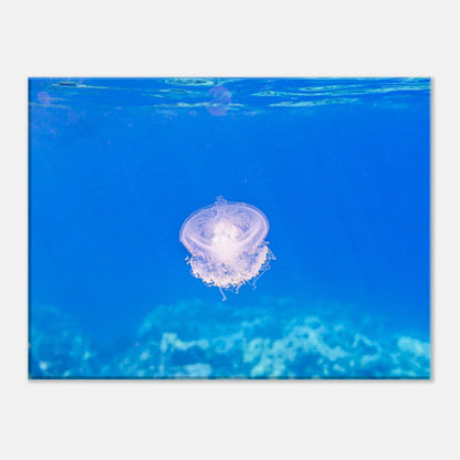 5d2f0545-21c6-4ed1-b556-45bae5aabfb3