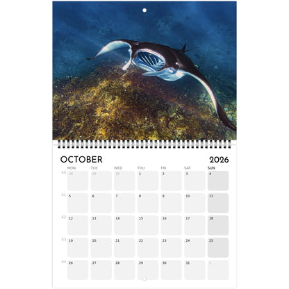 5f6e99c9-0d59-42e9-a770-d9d5ee6b5ff1