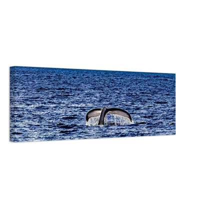 5fb231d8-b795-471d-8800-d5f65eecb889