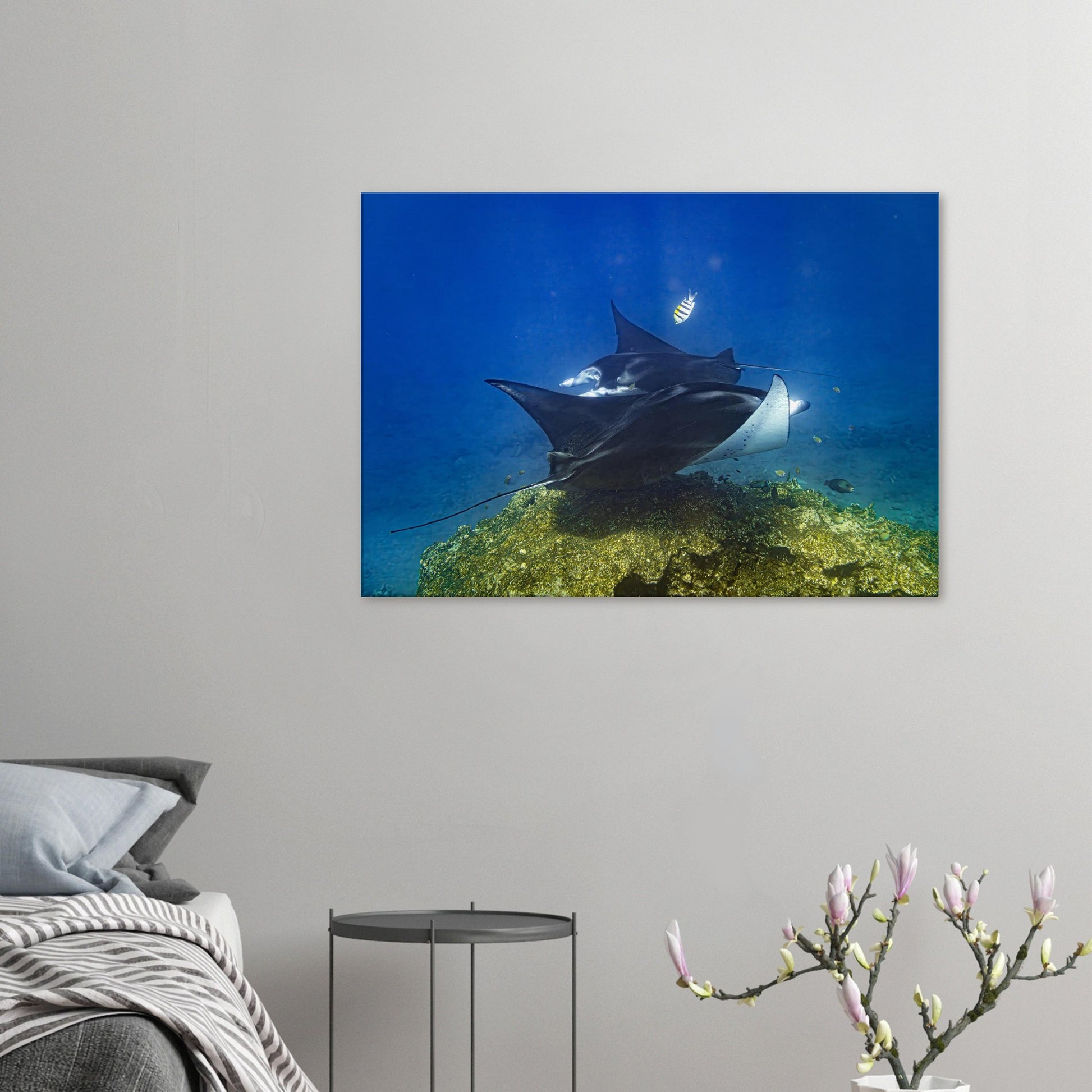 601ef46b-b656-443d-b97f-204982d304eb