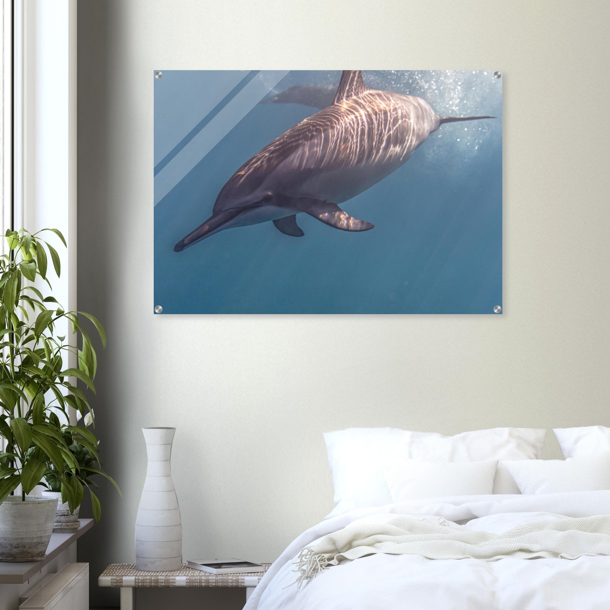 60ad9417-174a-4107-ba98-bd1fd32e11bb