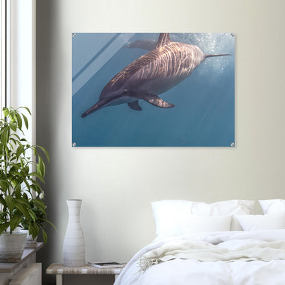 60ad9417-174a-4107-ba98-bd1fd32e11bb