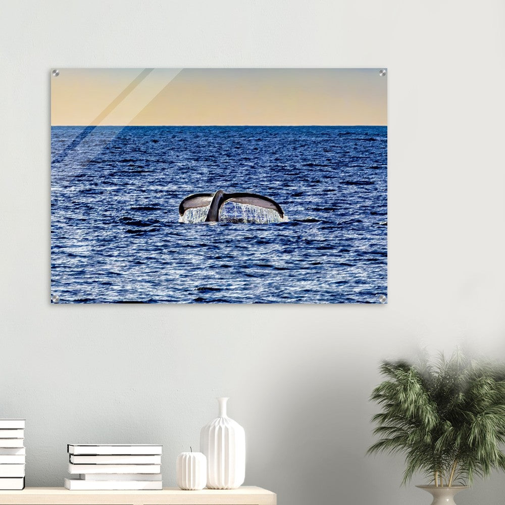 611492e1-6df0-4d91-bb1a-db7a58d89ab4