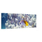 6357dd28-cd53-490c-bcde-a60a742ace4d