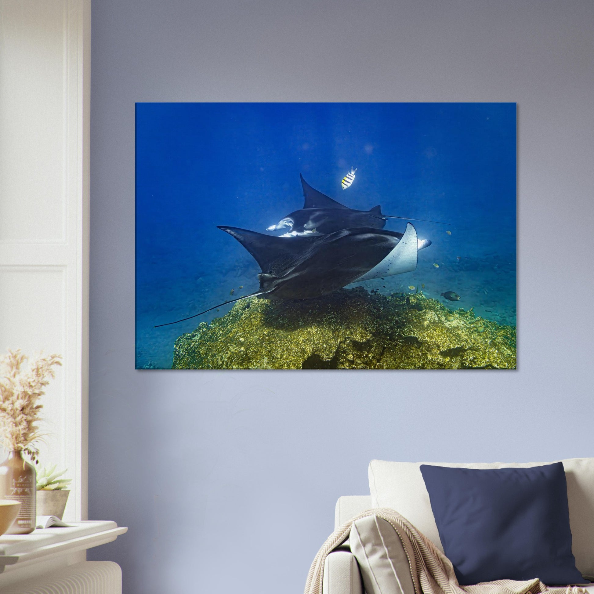 6382f699-f02b-4e0d-9b7a-f303edbdd642