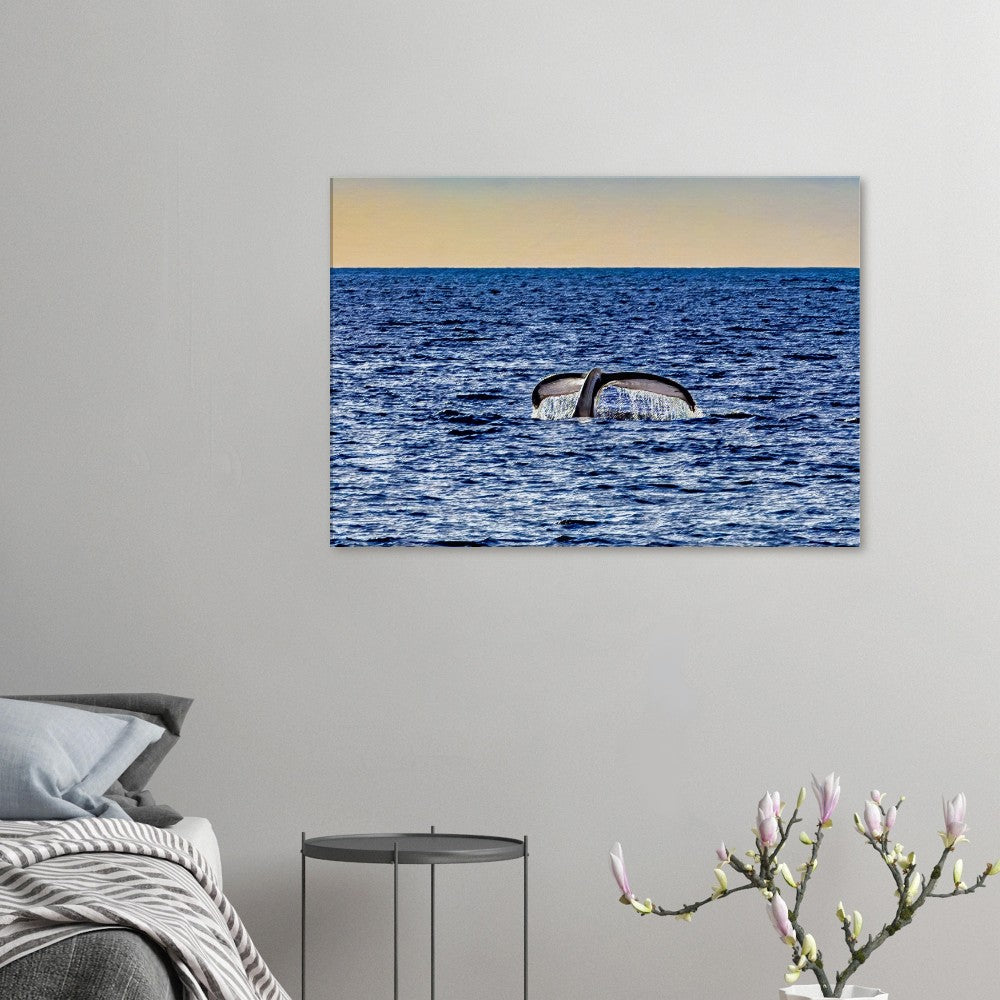 639ada11-3571-41ce-b426-f37c2c379827