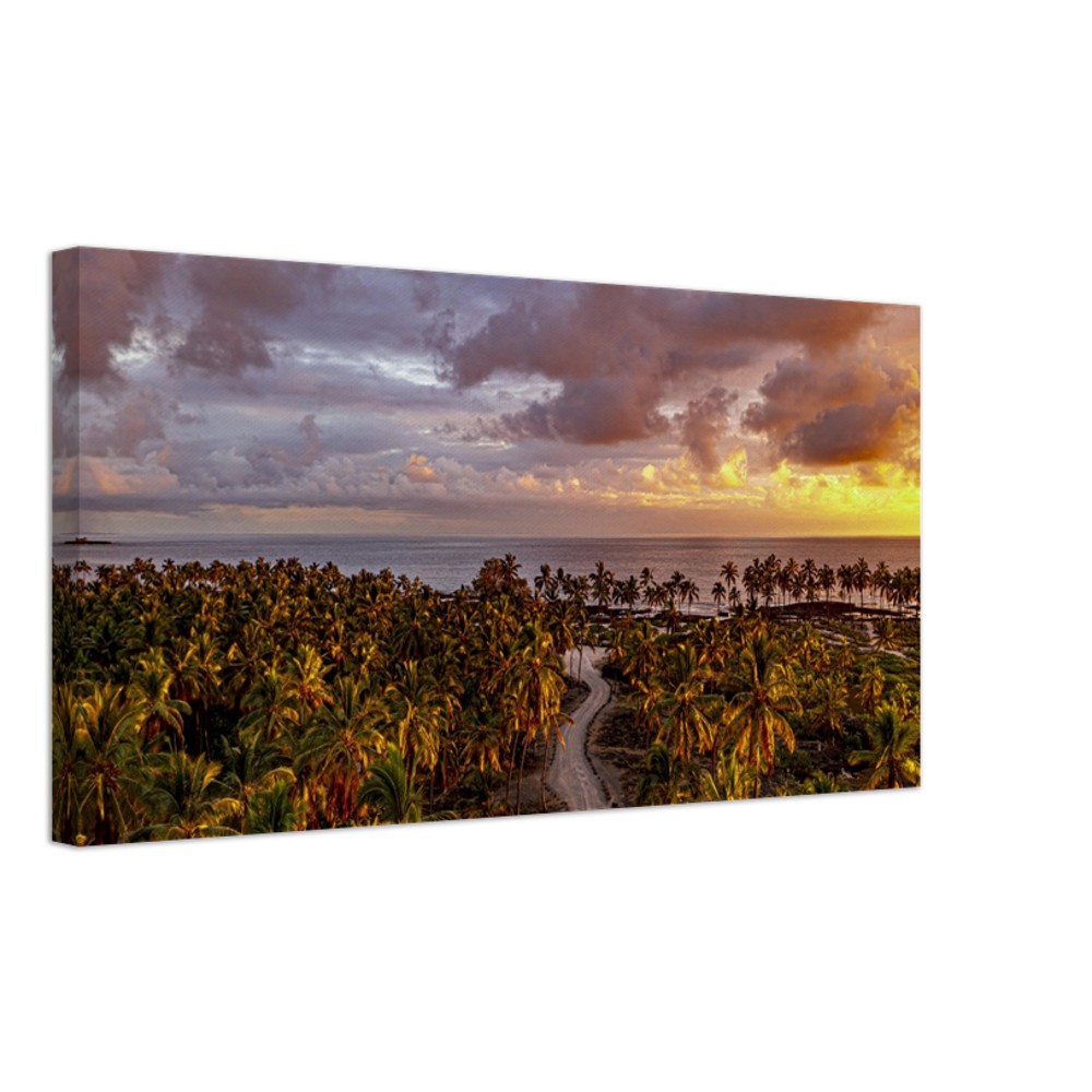 64ded878-092c-46f7-b530-e817fb4be77c