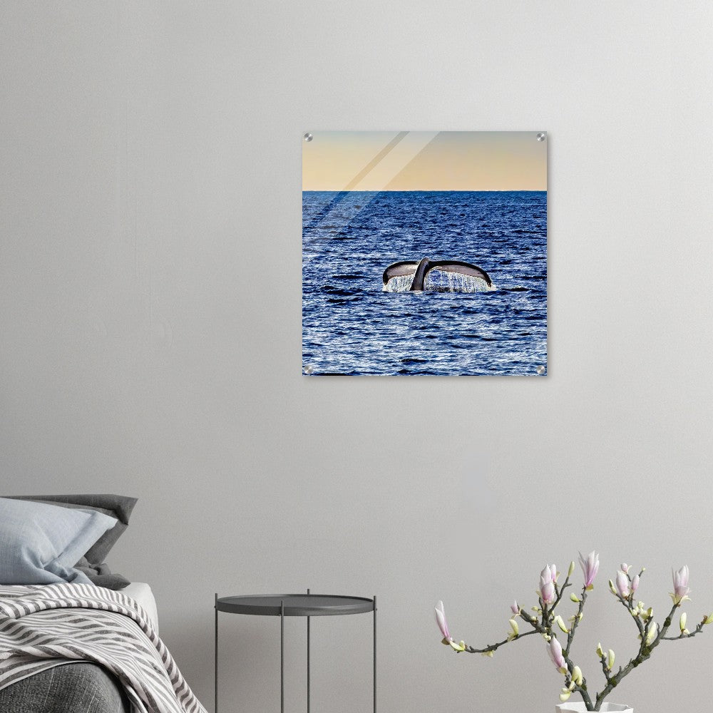 652a4b00-358a-4881-9f6f-4b6918862c36