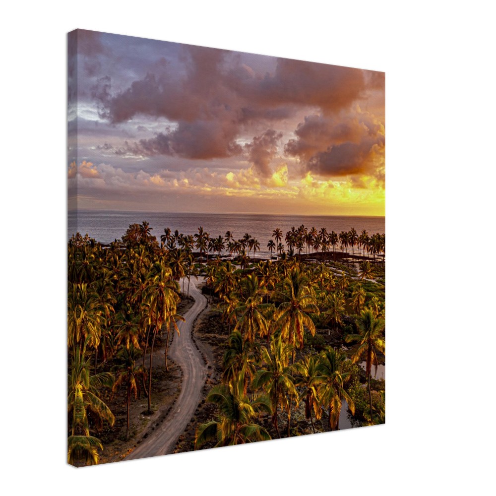 664ed9bd-02e7-4bdd-80aa-f5c46f9e97db