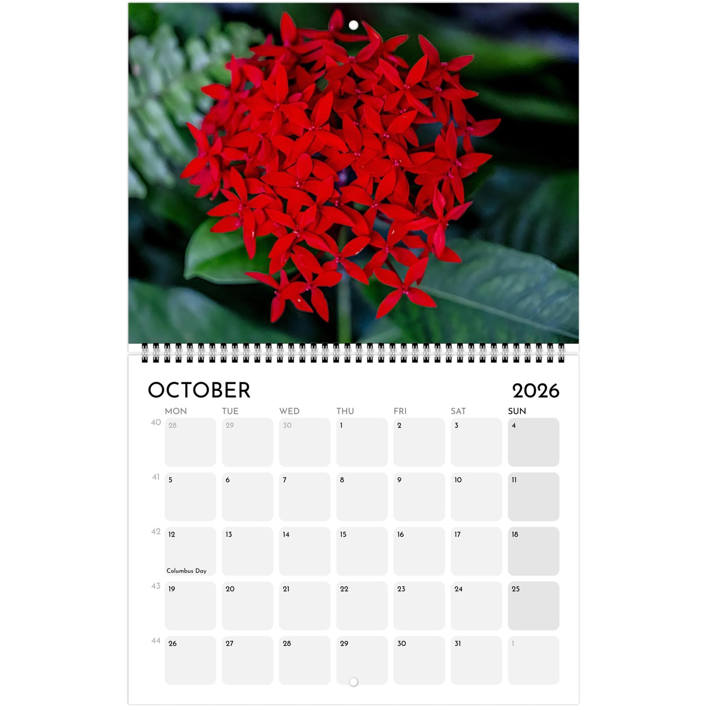 6a066472-aa4d-4bd8-87e4-ff3271ac56ac