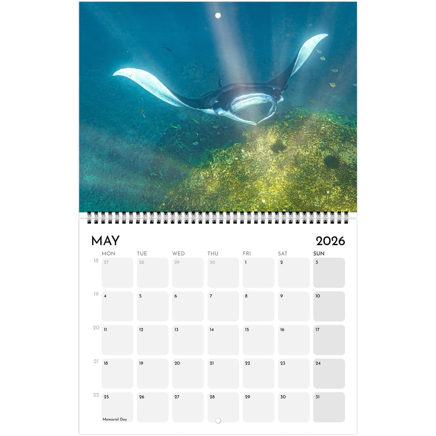 6e4bd474-5b0d-4825-91ac-8ca091e80636