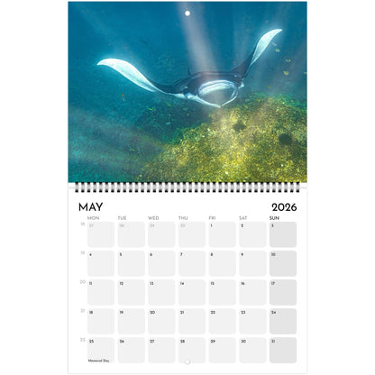 6e4bd474-5b0d-4825-91ac-8ca091e80636