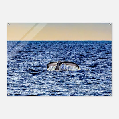 7716a13b-0c4c-4b84-96d3-a665e838d9bf