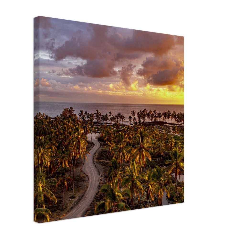 77d1ea73-dc21-483e-8767-baff07e231cc