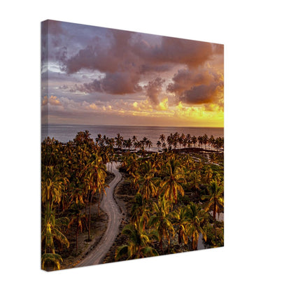 77d1ea73-dc21-483e-8767-baff07e231cc