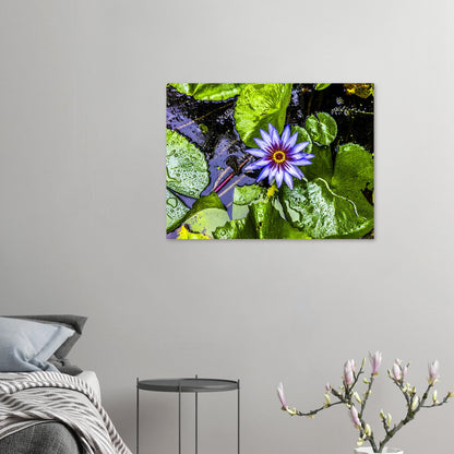 7a3d8170-99cb-4c97-ad70-854c7ae2bb70