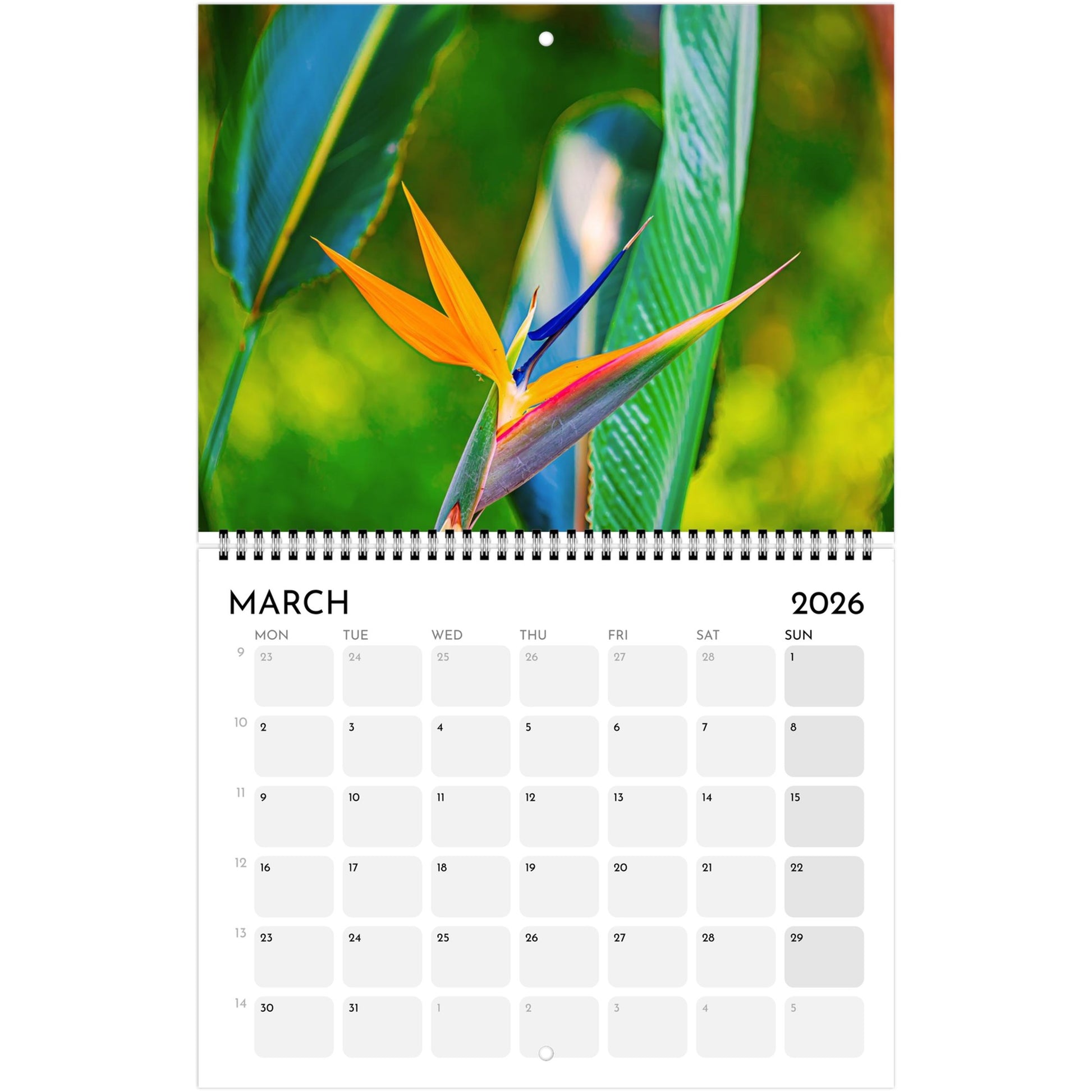 7ad30744-bb4d-434c-8b25-ef978e72d313