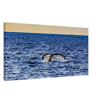 7c90a961-d212-4560-b64b-95f3a55e4865