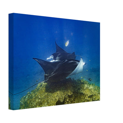 7ea3d174-6c32-4f28-871e-c07100f83efa