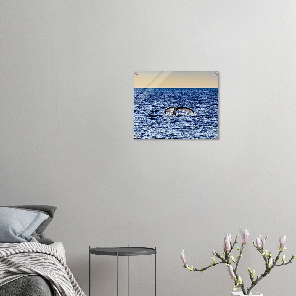 7ecb8067-45ab-41a5-8f7e-79cecb9c26ea