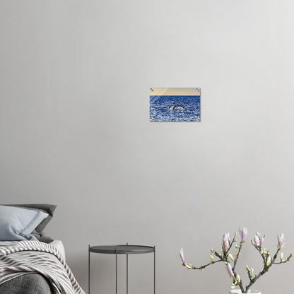 803f160f-541e-4fc2-8caa-0266ed781162