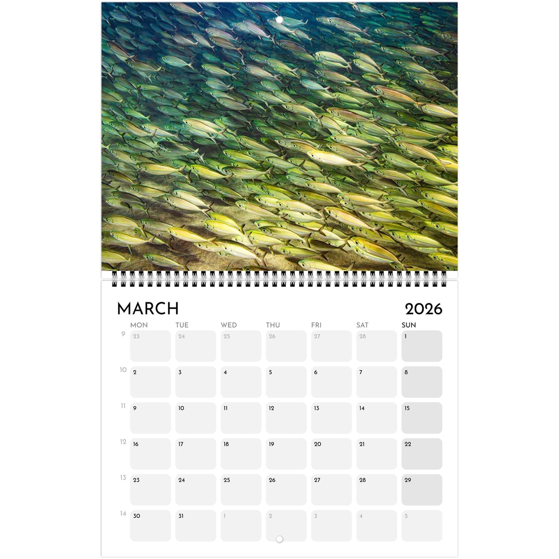 8055ee21-23c3-414a-a5cf-6aac0271ceeb