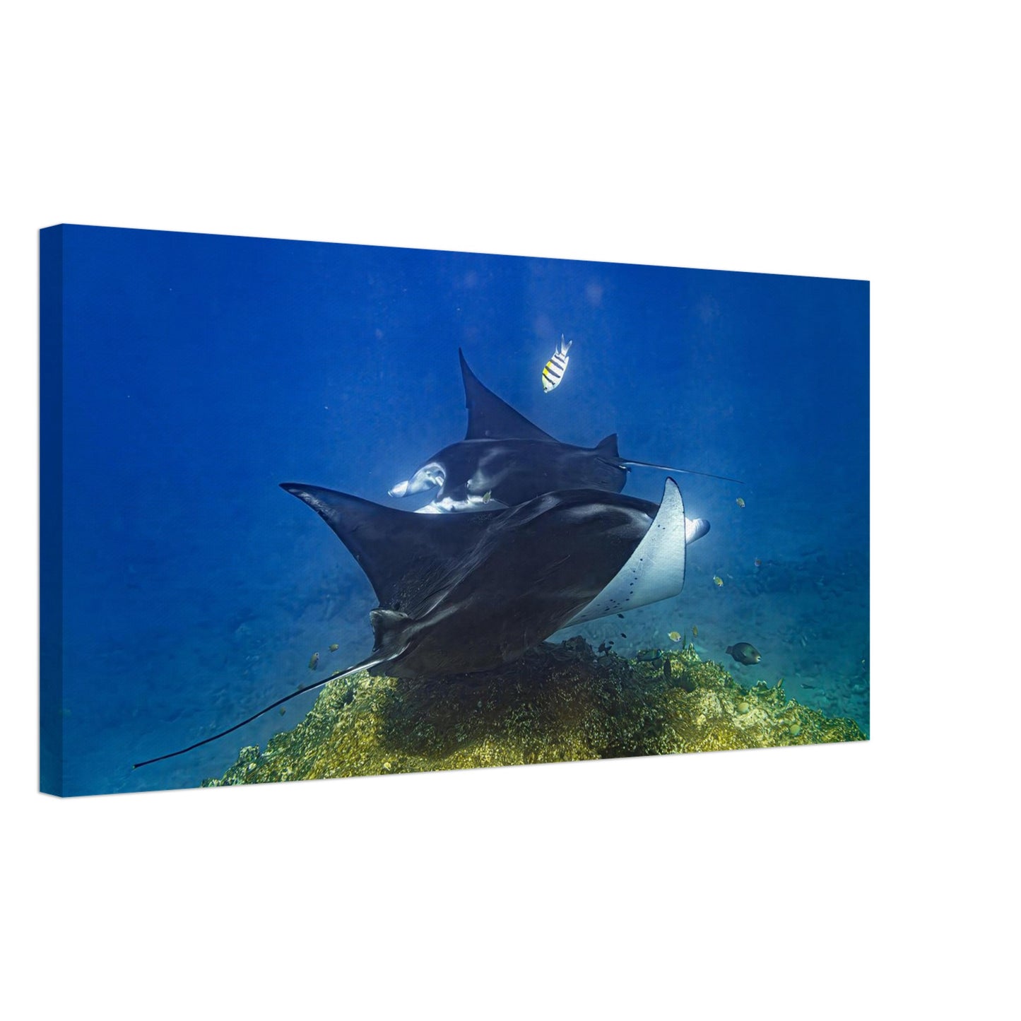 8122e79e-4209-495f-844b-39a9077df148