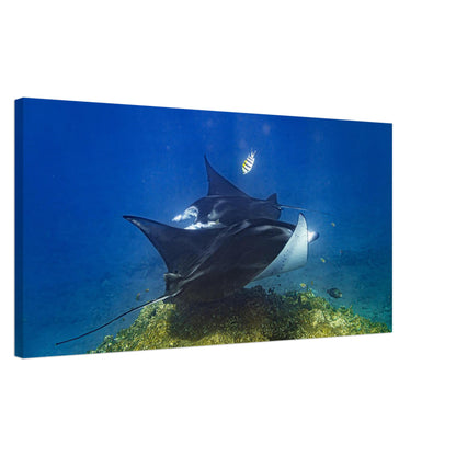 83b2e9f5-2850-44a0-bf0a-694803d0e000