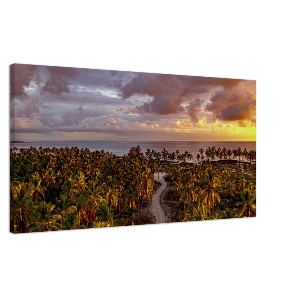 8422bd72-3b7f-4657-b939-1293e4f3c378